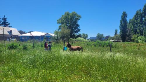 a couple of people and a horse in a field at Cabañas Lomas de Putagan in Linares