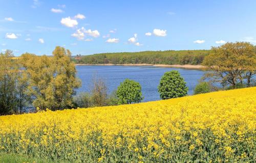 a yellow rapeseed field with a lake in the background at Ferienhaus Funkenhagen in Funkenhagen
