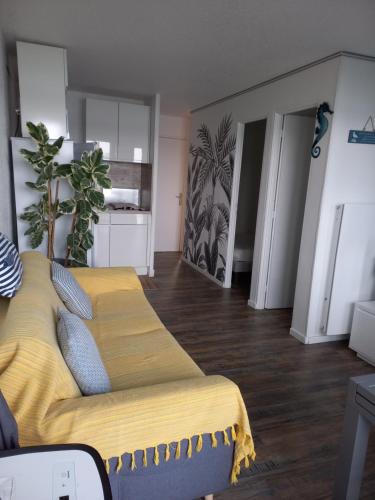 Coquet T3 bord lagon bras de mer cap d'Agde