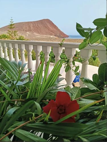 Magic view facing MontanaRoja