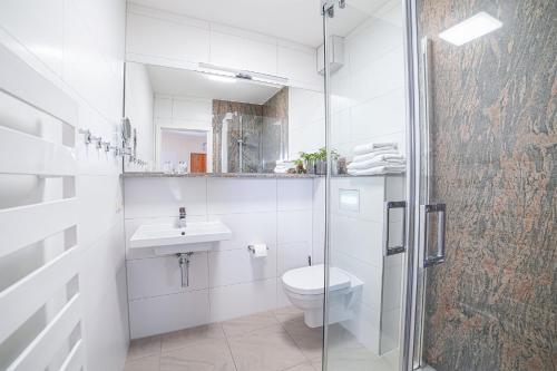 a bathroom with a toilet and a sink and a shower at Simon´s Ferienwohnungen in Kurort Oberwiesenthal