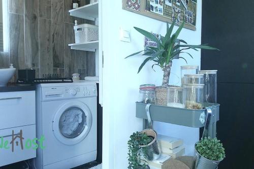 - une buanderie avec un lave-linge et une plante dans l'établissement Basse chenaie Cocon avec terrasse et Parking, à Nantes