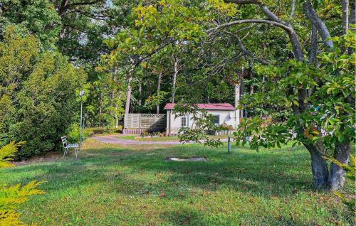 Zahrada ubytování Ferienhaus Kölpinseeusedom