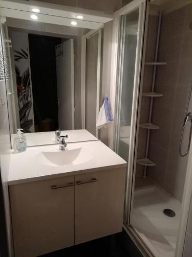 une salle de bain avec un lavabo et une douche dans l'établissement Coquet T3 bord lagon bras de mer cap d'Agde, au Cap d'Agde