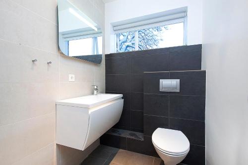 a bathroom with a toilet and a sink and a mirror at Nordurey Guesthouse in Reykjavík