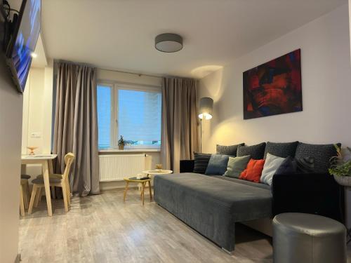 a living room with a couch and a table at Smiltės apartamentai in Birštonas