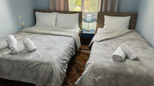 Postel nebo postele na pokoji v ubytování Villa Gomfoi Trikala - Smart Town BnB