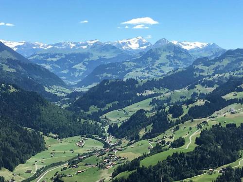 a view of a valley with mountains in the background at Apartment Adlemsried by Interhome in Boltigen