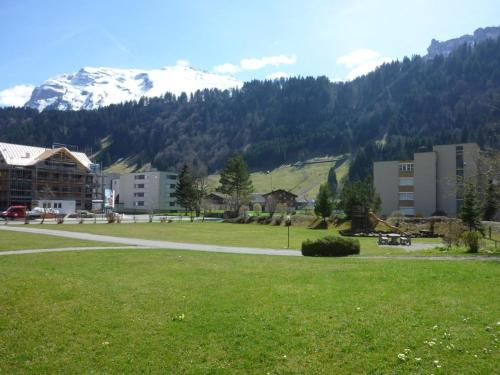 a park with buildings and a mountain in the background at Apartment Sunnmatt Süd 412 by Interhome in Engelberg