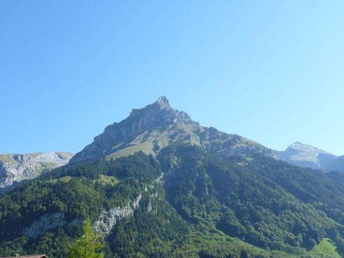 a mountain covered in trees with a blue sky at Apartment Chalet Eien by Interhome in Engelberg