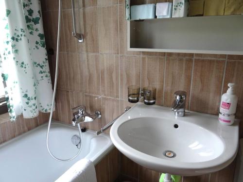Ένα μπάνιο στο Apartment Birkenstrasse 70-2 by Interhome