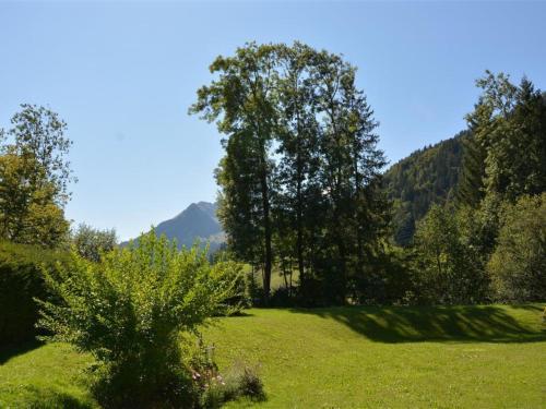 a field of grass with trees and mountains in the background at Apartment La Sarine 20 by Interhome in Gstaad