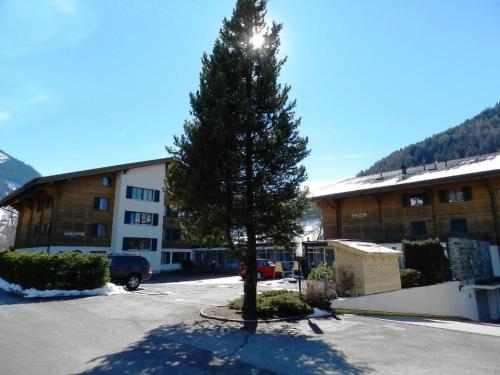 a pine tree in a parking lot in front of a building at Apartment La Sarine 20 by Interhome in Gstaad