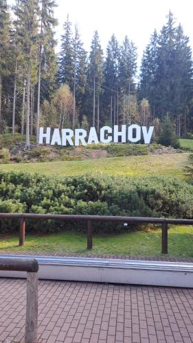 Φωτογραφία από το άλμπουμ του Apartman Harrachov - Resident σε Harrachov