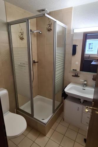 a bathroom with a shower and a toilet and a sink at Apartment Sunshine by Interhome in Saas-Grund