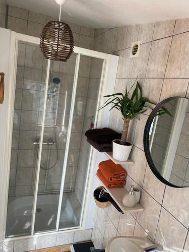 une salle de bain avec douche, toilettes et miroir dans l'établissement La cabane au fond du jardin, à Orléans