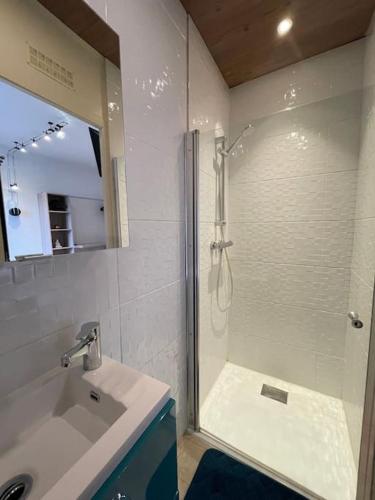 une salle de bain avec douche et lavabo dans l'établissement Lion d'or 23 - Chambre meublée et équipée en centre-ville, à Montluçon