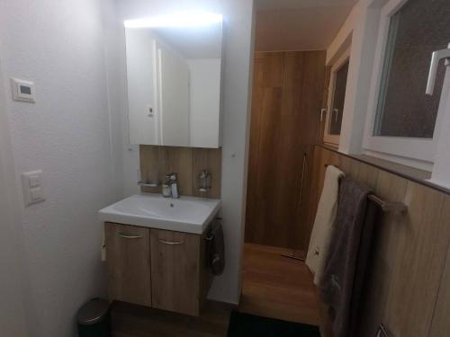 Koupelna v ubytování Apartment Chalet Claudia by Interhome