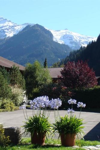two potted plants in front of a house with mountains at Apartment Gwunderstübli by Interhome in Lenk