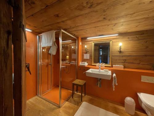 a bathroom with a shower and a sink and a toilet at Apartment Obegghuus by Interhome in Zweisimmen