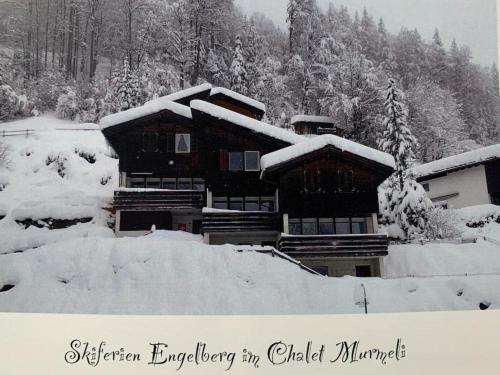 una casa ricoperta di neve con alberi sullo sfondo di Apartment Chalet Murmeli by Interhome a Engelberg