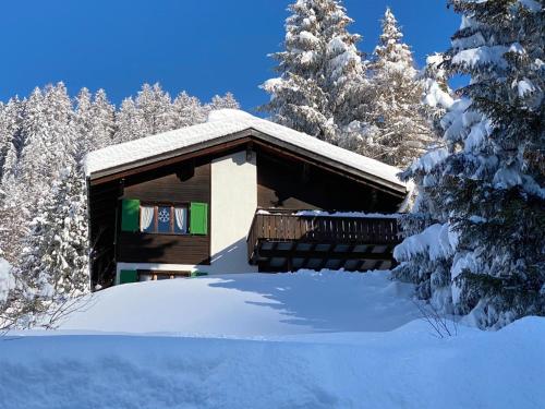 a cabin in the snow with snow covered trees at Apartment Riedblick by Interhome in Churwalden
