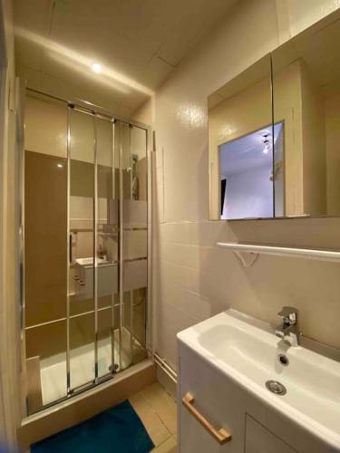 une salle de bain avec une douche en verre et un lavabo dans l'établissement Lion d'or 25 - Chambre meublée et équipée - centre-ville, à Montluçon