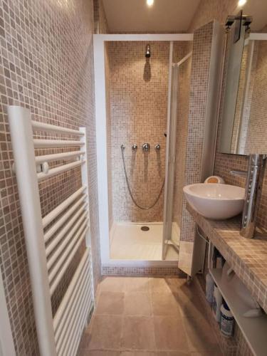 une salle de bain avec douche et lavabo dans l'établissement Joli Cocon avec Terrasse dans Le Marais, à Paris