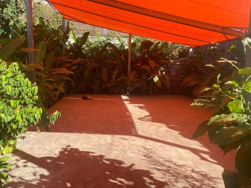 a red umbrella over a red brick walk way at Hostal Casa Abierta in León