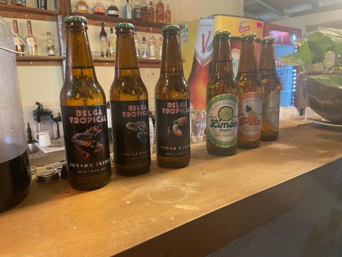 a row of bottles of beer sitting on a counter at Hostal Casa Abierta in León