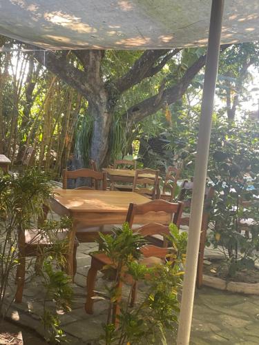 a wooden table and chairs under a tree at Hostal Casa Abierta in León