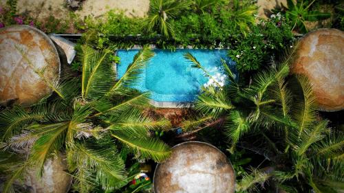 a view of a pool with palm trees and plants at Cocohut Hoi An Homestay in Hoi An