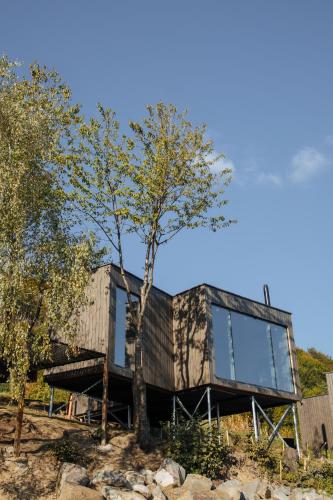 a house with glass walls and a tree at Vdoma Karpaty in Vilshynki