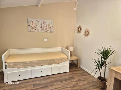 une chambre avec un lit et une plante en pot dans l'établissement Studio de plain-pied, à Beauchamp