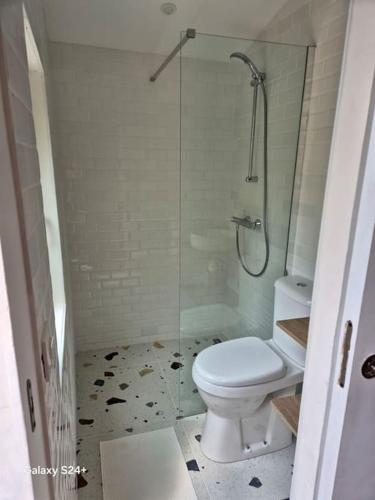une salle de bain avec toilettes et douche en verre dans l'établissement Studio de plain-pied, à Beauchamp