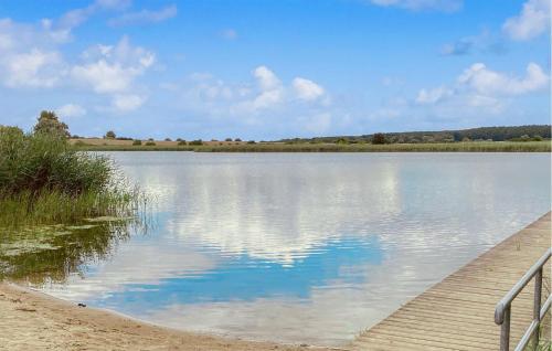 a large body of water with a wooden dock at Ferienwohnung Blankensee in Blankensee