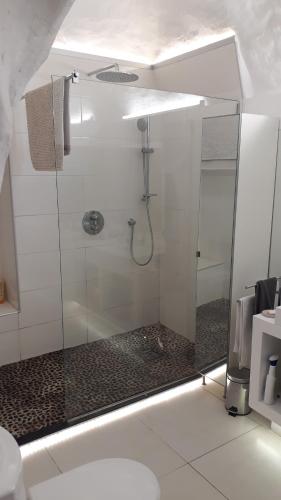 une salle de bain avec une douche avec une porte vitrée dans l'établissement Ancien relais de chasse, isolé en pleine nature provençale 11 couchages, modulable 7, à Saumane-de-Vaucluse