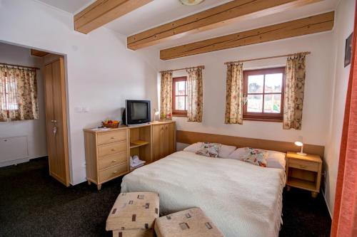 a bedroom with a bed and a tv and windows at Hotel Koliba Greta in Žiar