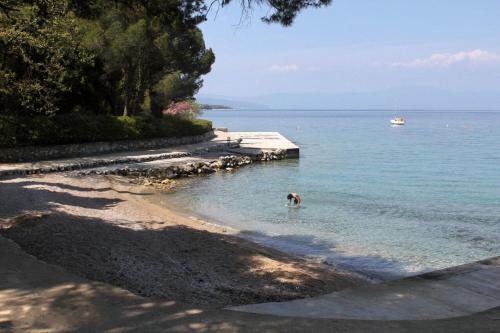 a dog standing in the water near a beach at Apartment Neo in Malinska