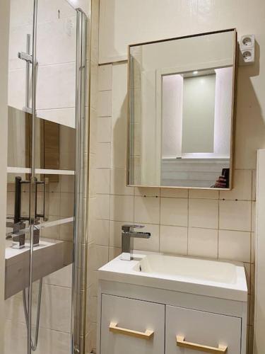 une salle de bain avec un lavabo et un miroir dans l'établissement Lion d'or 27 Chambre meublée et équipée centre-ville, à Montluçon