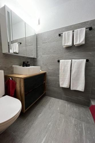 a bathroom with a toilet and a sink and a mirror at Apartment Am Sonnenhang by Interhome in Churwalden