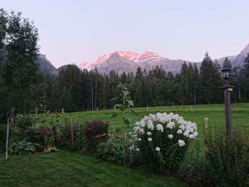 a garden with flowers in a field with mountains in the background at Apartment Trachsel-Huus by Interhome in Lenk