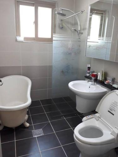 a bathroom with a toilet and a sink at Gozneok spacious private house - 75py in Goseong