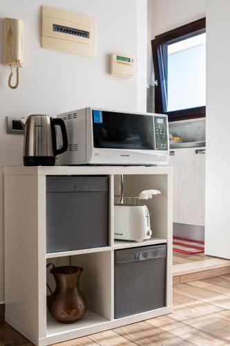 a microwave on a shelf in a kitchen at a casa di Ma Gi in Ciampino