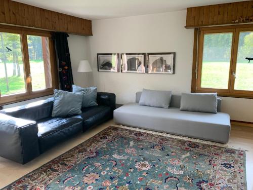 Posezení v ubytování Apartment Rothenbach by Interhome