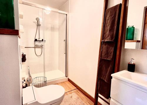 Un baño con ducha, inodoro y lavabo. en F3 confort proche Château-CDG-Paris, en Écouen