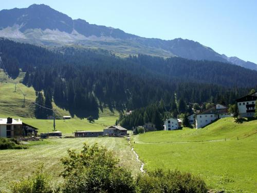 Příroda nedaleko apartmánu