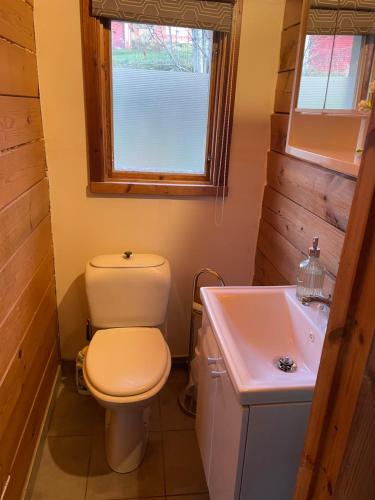 a bathroom with a toilet and a sink at Three Rooms stuga i stugby near National Park in Undenäs