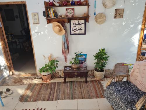 a living room with a table and potted plants at Andyvone at yvone in Dahab