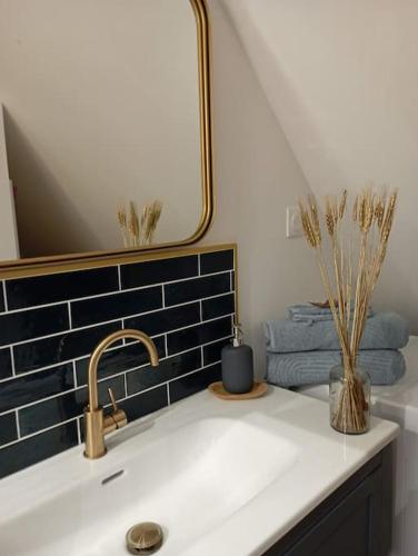 une salle de bain avec un lavabo et un miroir dans l'établissement Charmante petite maison indépendante, au calme, à Seine-Port